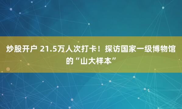 炒股开户 21.5万人次打卡！探访国家一级博物馆的“山大样本”