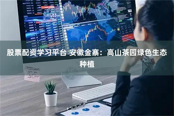 股票配资学习平台 安徽金寨：高山茶园绿色生态种植
